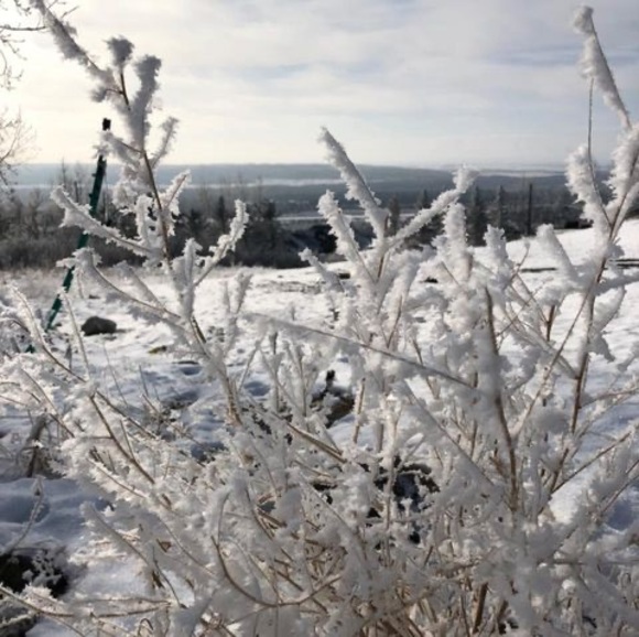 Meet your Posher, Jac - Picture 1 of 1